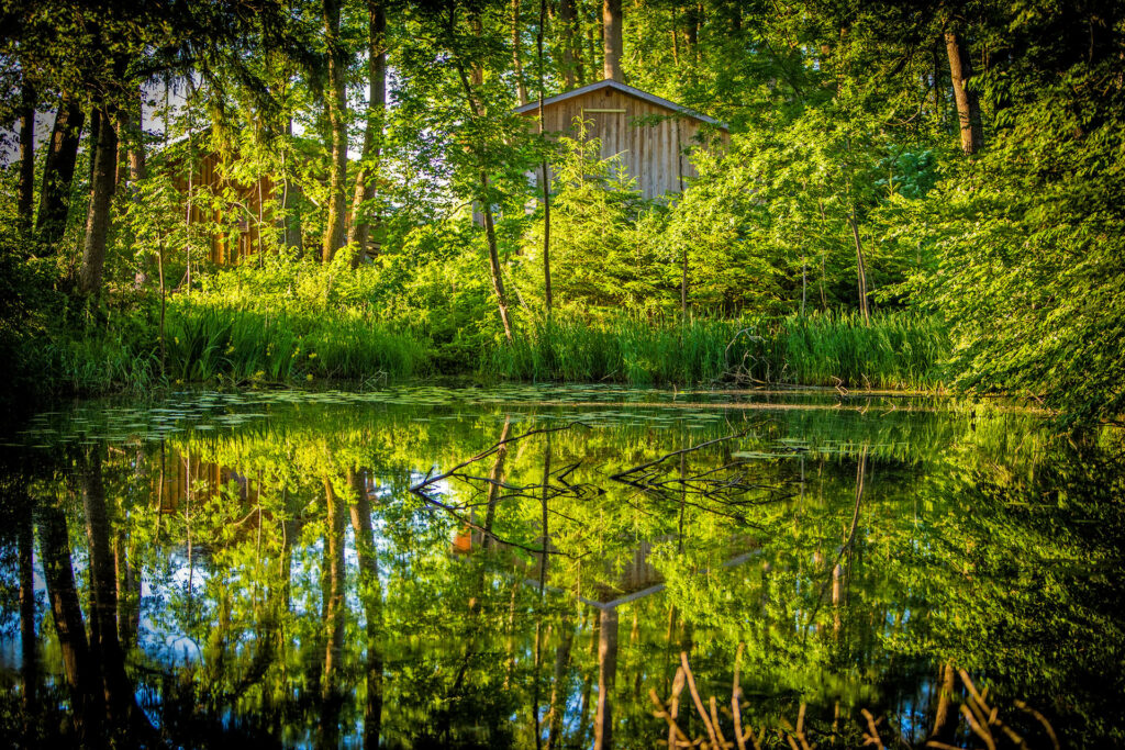 Eventfotografie und Impressionen Rosenheim – Bild 8